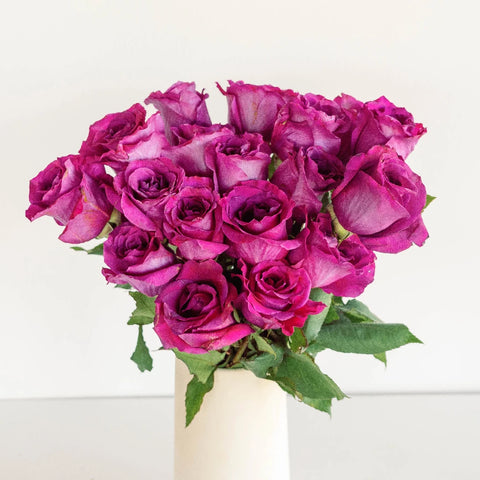 Fuchsia Mamy Blue Garden Rose Vase - Image