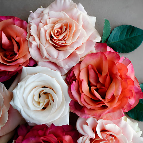 Save The Garden Rose Growers DIY Flower Kit