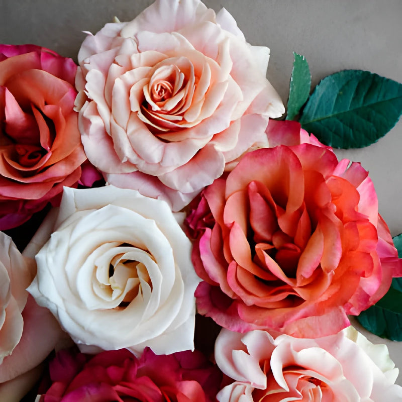 Save The Garden Rose Growers DIY Flower Kit
