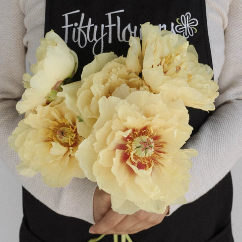 Garden Treasure Peony Apron - Image