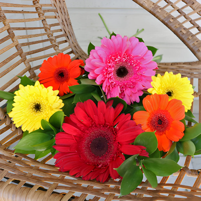 Save The Gerber Daisy Growers DIY Flower Kit