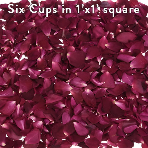 Beautiful Dried Rose Petals for weddings