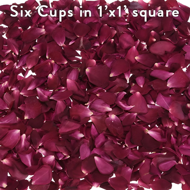 Beautiful Dried Rose Petals for weddings