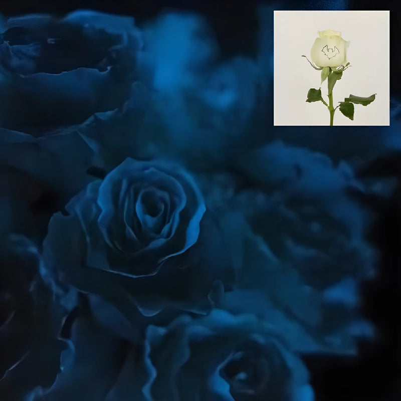 Glow In The Dark Black Bat Rose - Image