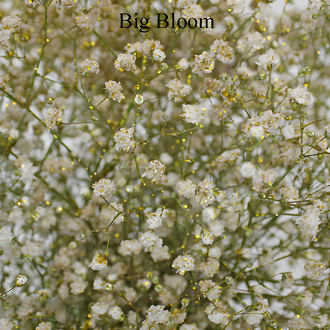 Gold Glitter Baby's Breath Flower