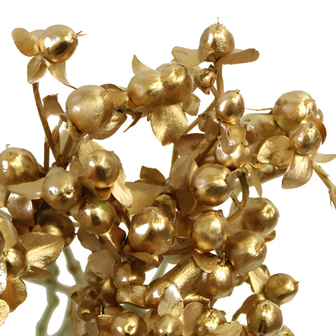 Silver and Gold Mixed Hypericum Berries