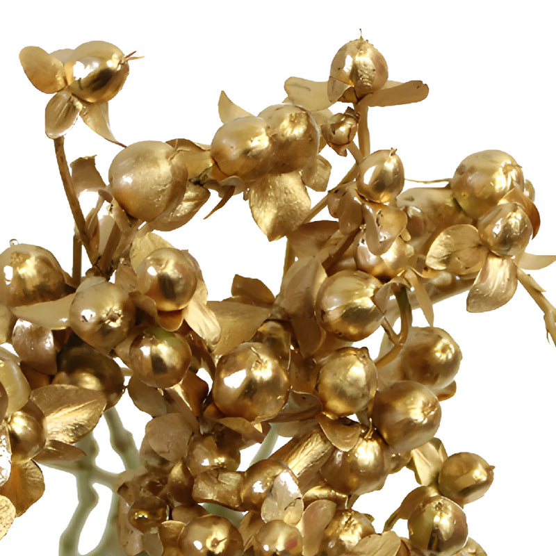Silver and Gold Mixed Hypericum Berries