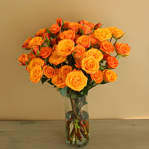 Golden Melon Spray Wholesale Roses In a vase