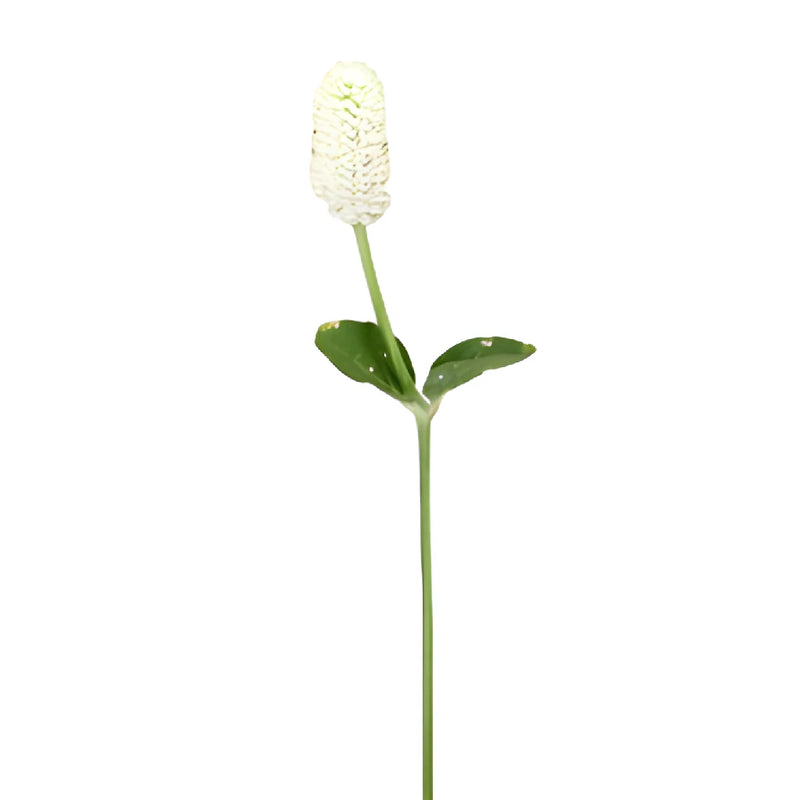 White Gomphrena Wedding Flowers