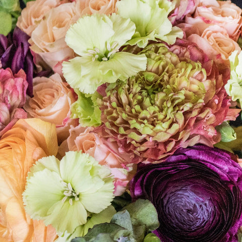 Green and Purple DIY Flower Kit Up Close