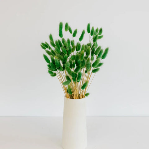 Green Dried Craspedia Bunny Tails Vase - Image