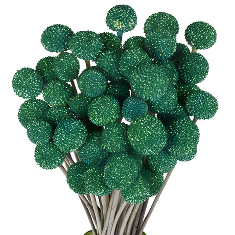 Green Glitter Craspedia Billy Balls