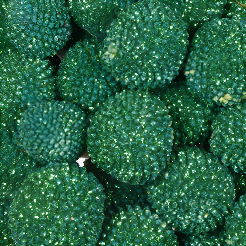 Green Glitter Craspedia Billy Balls