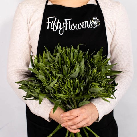 Green Planet Alstromelia Flower Bunch In Hand
