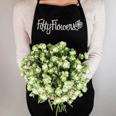 Green Spray Rose Flower Bunch in Hand