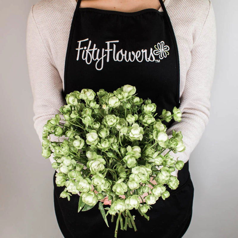 Green Spray Rose Flower Bunch in Hand