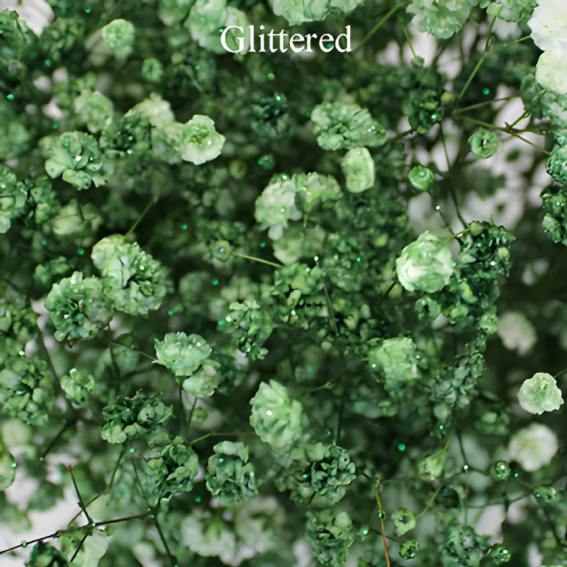 Olive Green Baby's Breath Flower