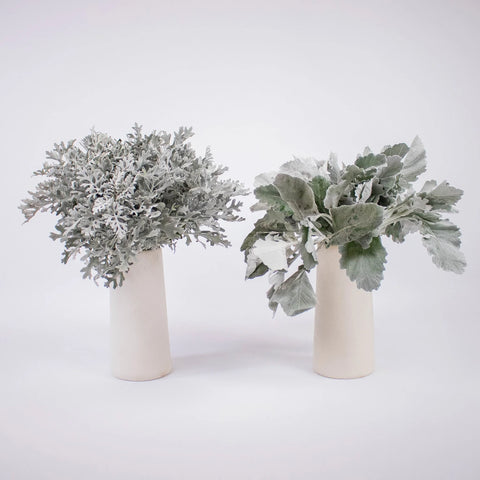 Greenery Dusty Miller Leaf Flower Bunch in Vase