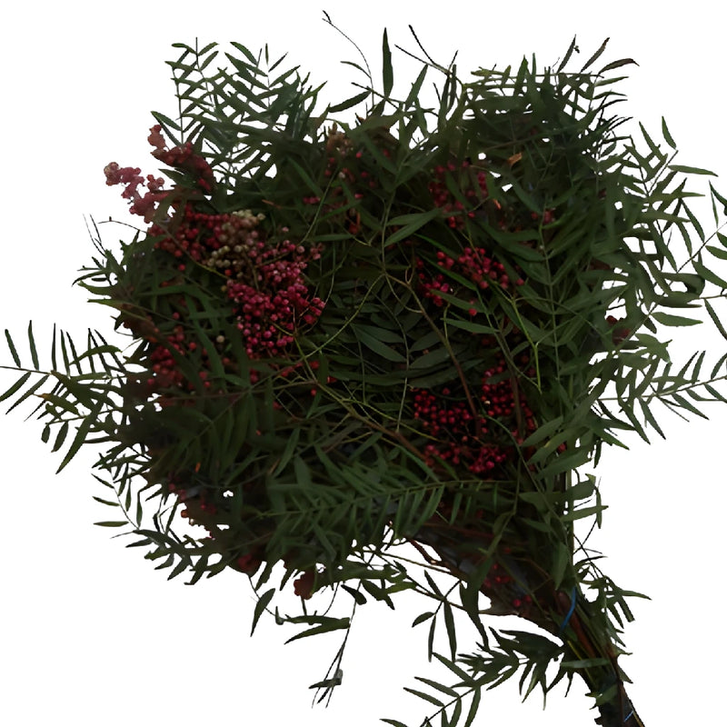 Wholesale greenery hanging pepperberry bulk fall fresh cut filler flowers