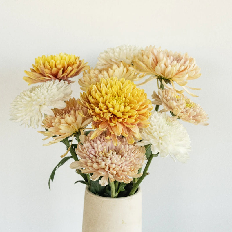 Honeycomb Chrysanthemum Flower Kit Stem - Image