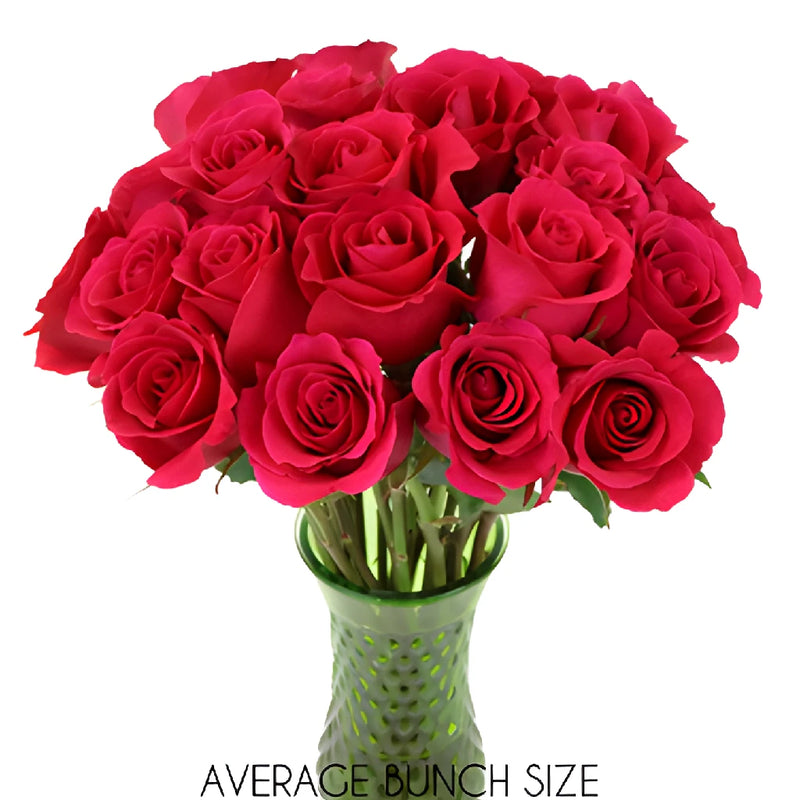 Pink Cherry Sweetheart Roses