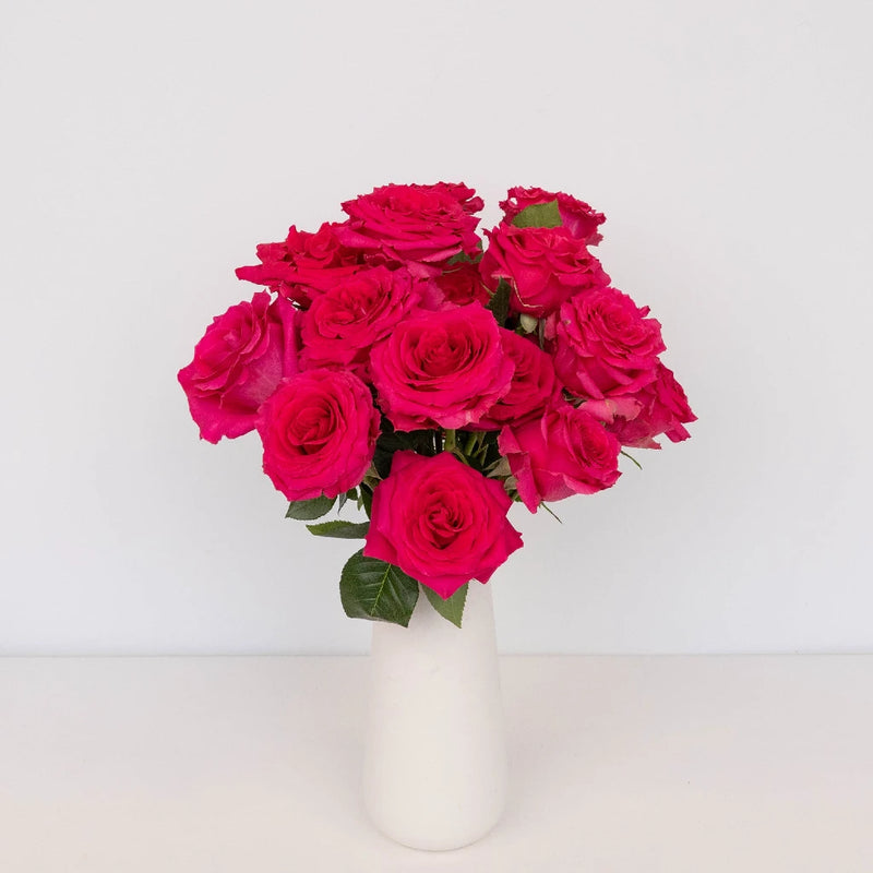 Hot Pink Mothers Day Rose Special Vase - Image