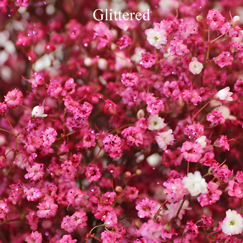 Hot Pink Airbrushed Baby's Breath Flower