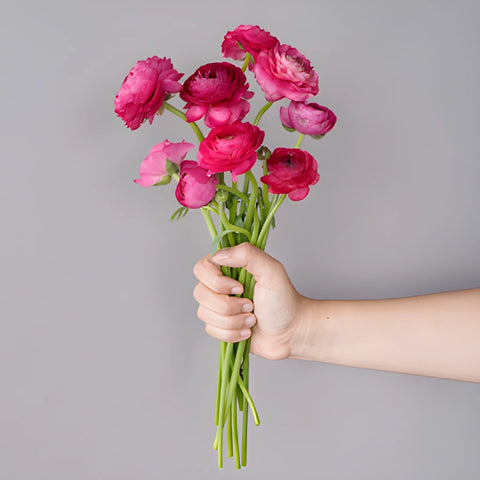 Save The Ranunculus Growers DIY Flower Kit
