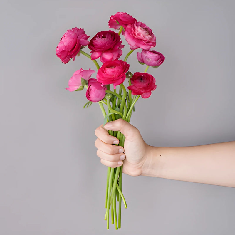 Save The Ranunculus Growers DIY Flower Kit