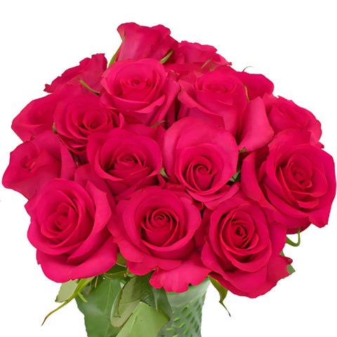 Hot Paris Fresh Cut Rose