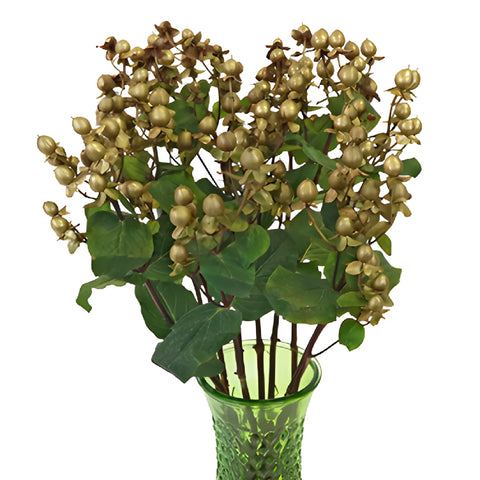 Gold Designer Enhanced Hypericum Berries