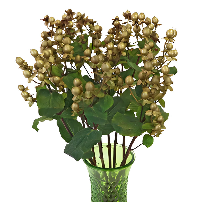 Gold Designer Enhanced Hypericum Berries