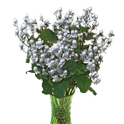 Silver Designer Enhanced Hypericum Berries