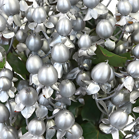 Silver Designer Enhanced Hypericum Berries