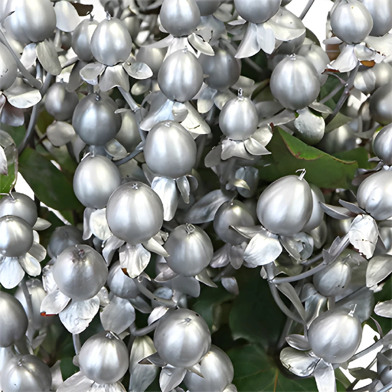 Silver Designer Enhanced Hypericum Berries