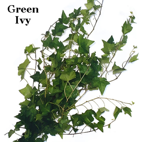 Fern and Ivy Greens Garland