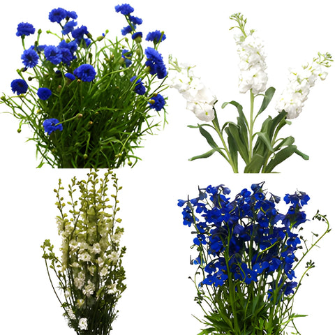 June Combo DIY Flower Kit Bunch