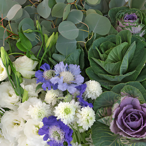 Kale Garden Party Lavender DIY Flower Kit Up Close