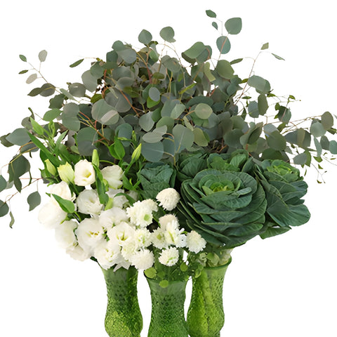 Kale Garden Party White DIY Flower Kit In a Vase