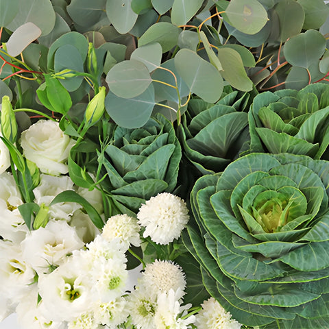 Kale Garden Party White DIY Flower Kit Up Close