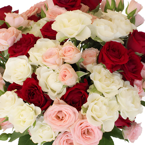 Romantic Colors Petite Spray Rose Mix