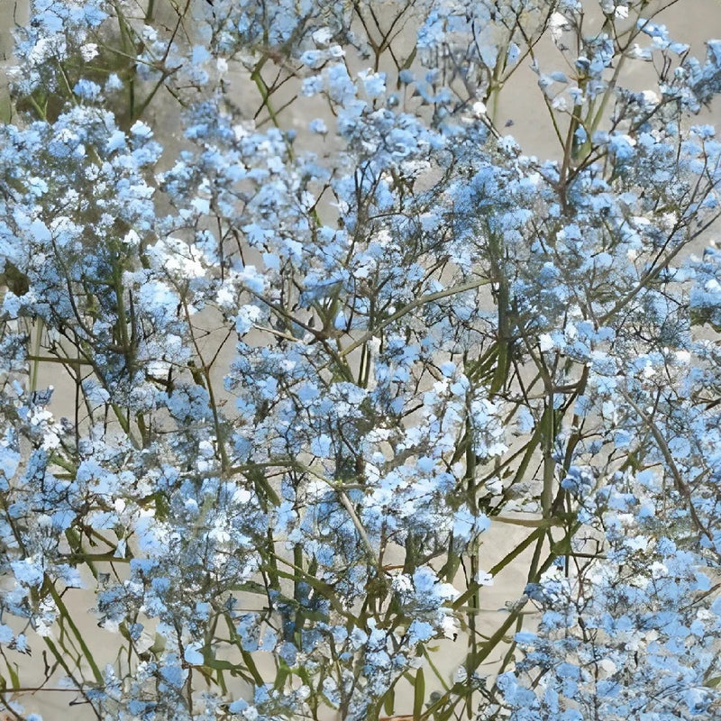 Light Blue Airbrushed Baby's Breath Vase - Image