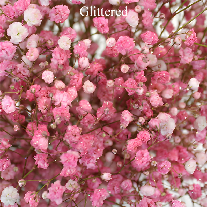 Light Pink Airbrushed Baby's Breath Flower