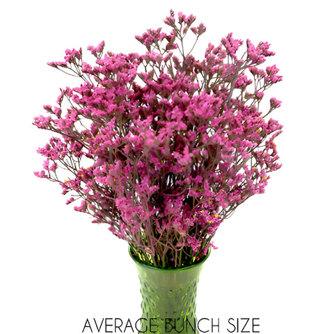 Rose Pink Enhanced Limonium Flowers