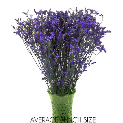 Purple Airbrushed Limonium Flowers