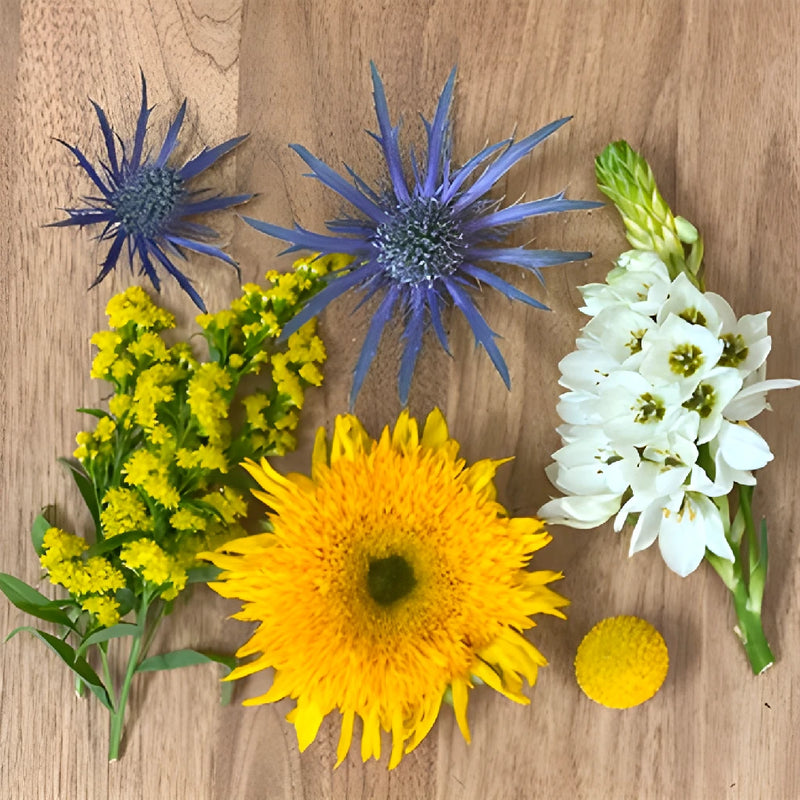 Save The Educadorian Field Growers DIY Flower Kit