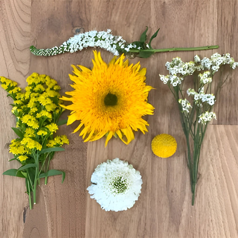 Save The Bright Yellow Ecuadorian Growers DIY Flower Kit