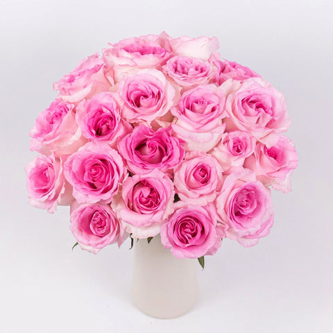 Mandala Pink Roses in Vase