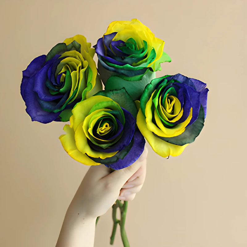 Mardi Gras Rainbow Roses