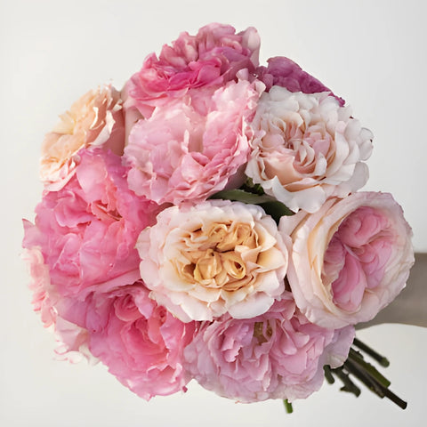 Sunset Hues Fresh Cut Pink Mayra Roses